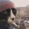 blinker_batman