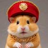 hamstercoachbljad