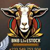 bnb_livestock_