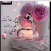dyreh9c0dtts
