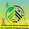 fofanaferme
