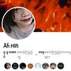 2008139hinn