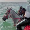 sea_1999a
