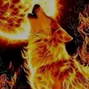 lobo120882