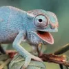 gizmo_en_kameleont