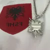 armaanselimaj_17