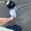 hellutuilahanieday