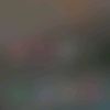 donita_1409