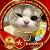 nguyendang8309