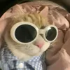 thanhvan_bt_mv