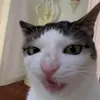 maryskaaa_123