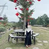 thuy.vinh9