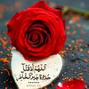 samyaeldalil8