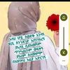 user2377273113886