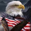 patriots0306