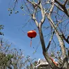thichgidangnay17