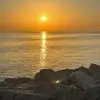 om_alshik1443