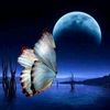 catire.10