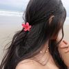 malexy.mishell