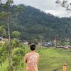 phingtrie