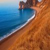 salman14557