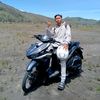 fortis_dolphinn