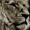 khalid79skr