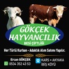 kars3636ercan