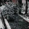 hafsoh_98