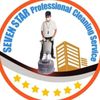 sevenstar391