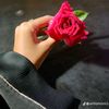 nusaiba.jannat049