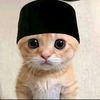 kashfulnaufal