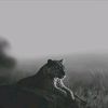 arefin12_