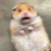 lalalalalalallalalaaaaaa