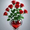 user8163618193521