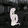 qwq._ky5_.nyan