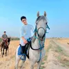 radad.al.jaliwi