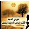 user3232164833165