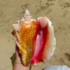 summer.joy10