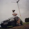 pferdelord420