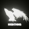 N1ght4ng