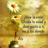 libre4729