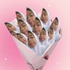 mfdln15_