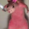 ajclnlx3