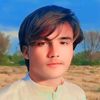 sultanmehmoodniaz