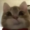 vkminhmaikeo
