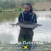razzyrasta