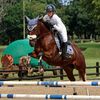 amse_equestrian