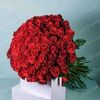_galyna_03_
