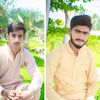 hamidameer302